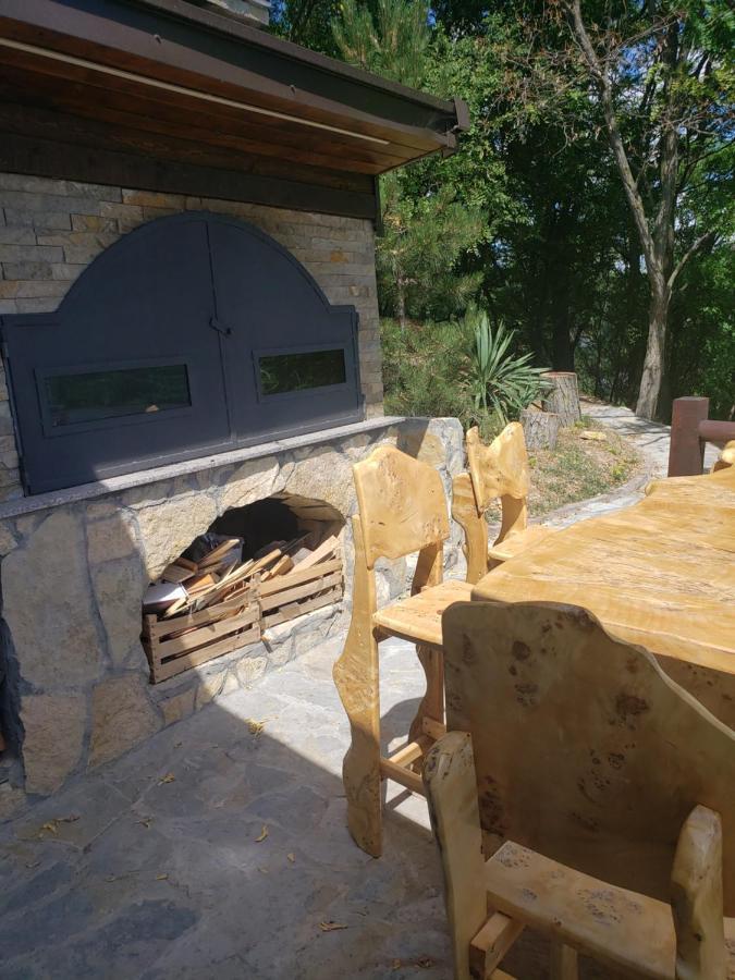 Vila Slankamenka Stari Slankamen Экстерьер фото